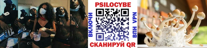 Галлюциногенные грибы Magic Shrooms  Ставрополь 